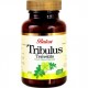 Tribulus Terrestris 500 mg